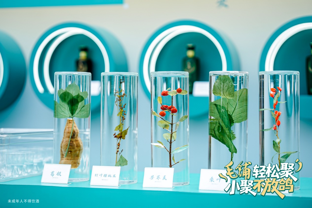 圖片4 圖片4